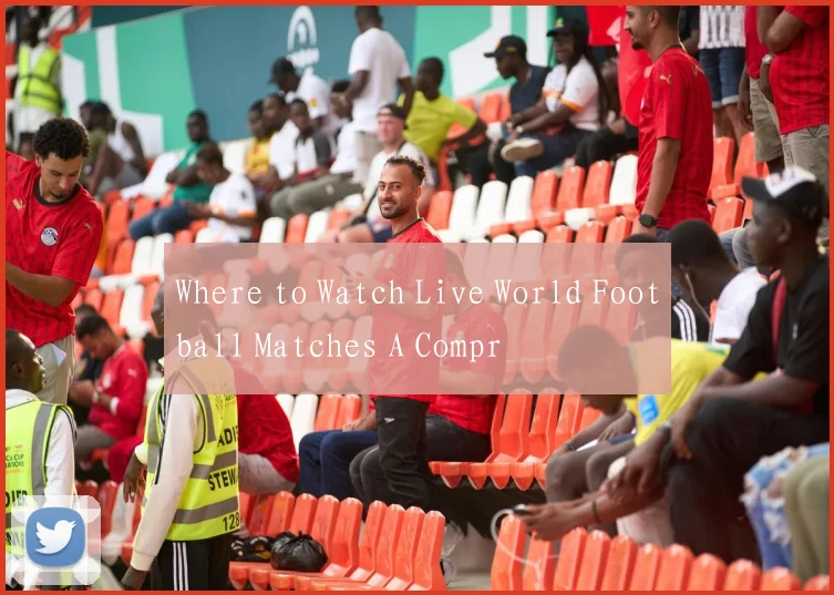 Where to Watch Live World Football Matches A Compr